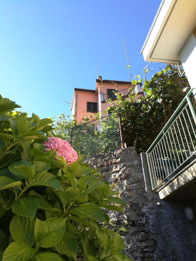 הוילה ריומאג'ורה ☆ Terrace & Relax ☆ Casa Franceschin_ Homy 5 Terre מראה חיצוני תמונה