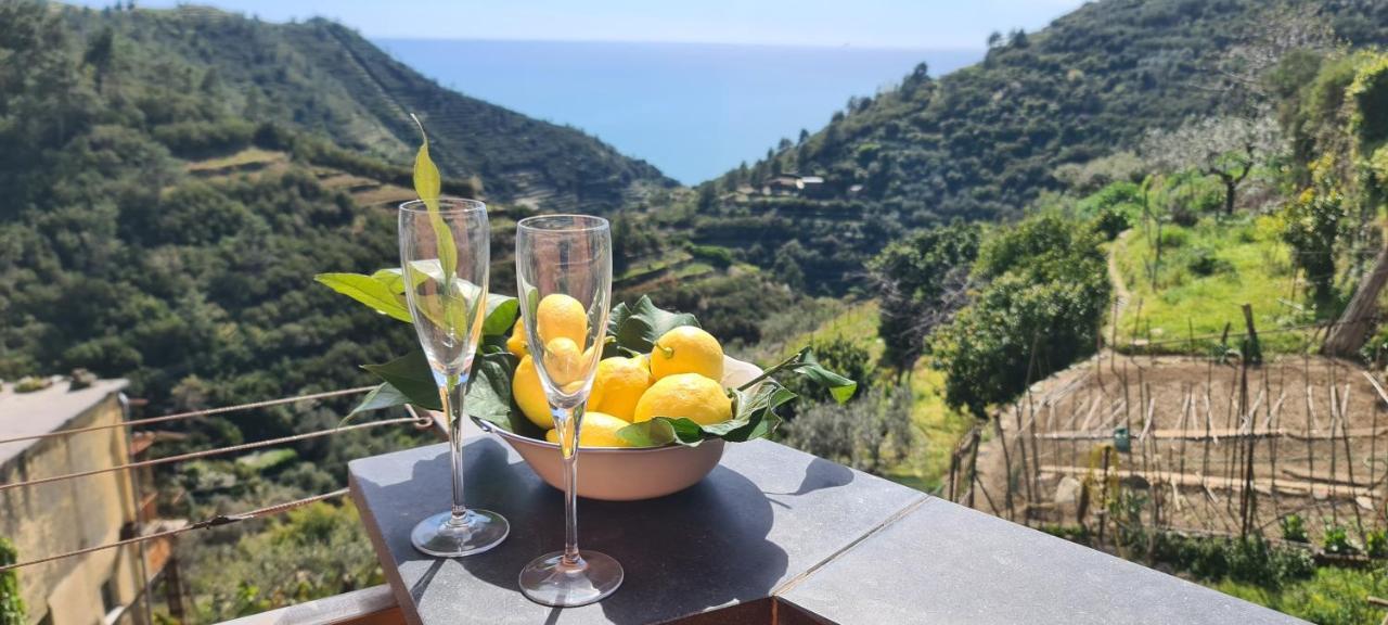 הוילה ריומאג'ורה ☆ Terrace & Relax ☆ Casa Franceschin_ Homy 5 Terre מראה חיצוני תמונה
